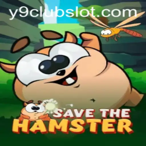 Dive Into the World of SavetheHamster: A New Gaming Sensation